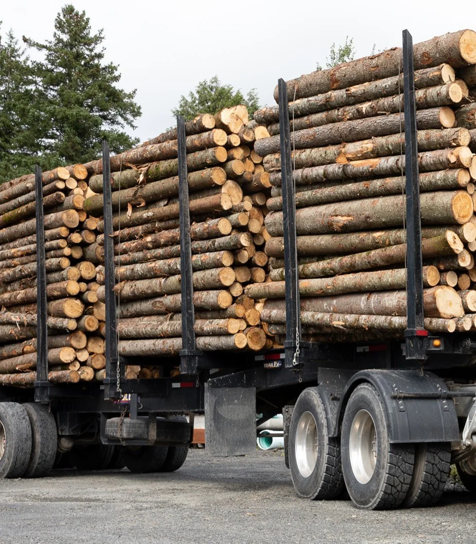 grume-camion-de-25-steres-1.webp Kastanienstämme, 50-Stère-LKW-Ladung – Image 1